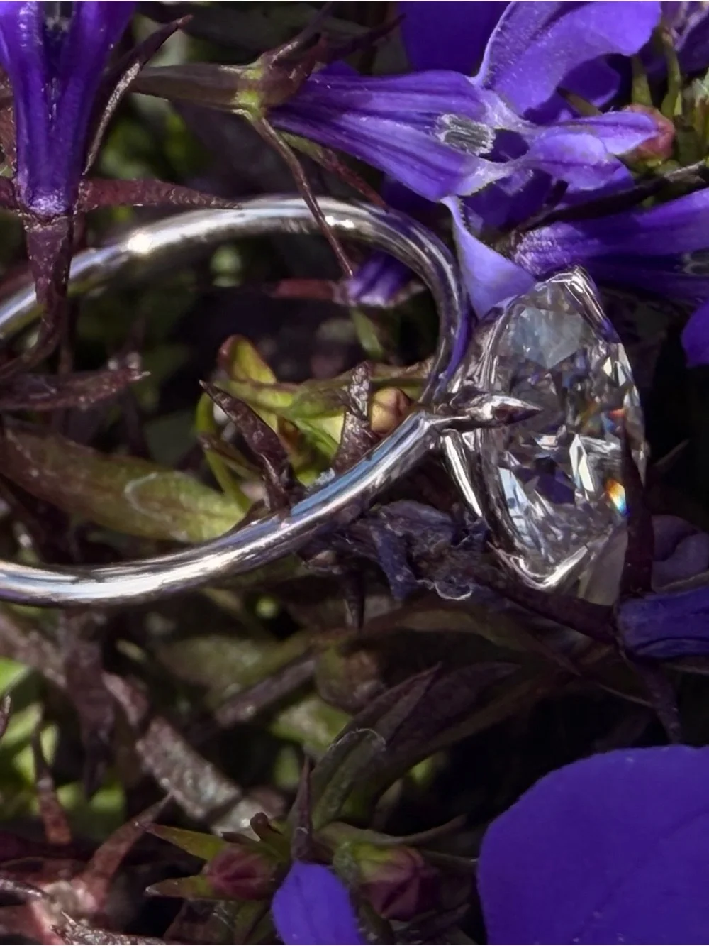 IGI Certified 2.02 CT Oval Lab Grown Diamond 14K Solid White Gold Ring Size 7